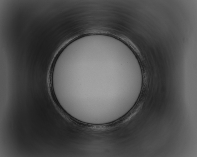 X0000100500893200806130727