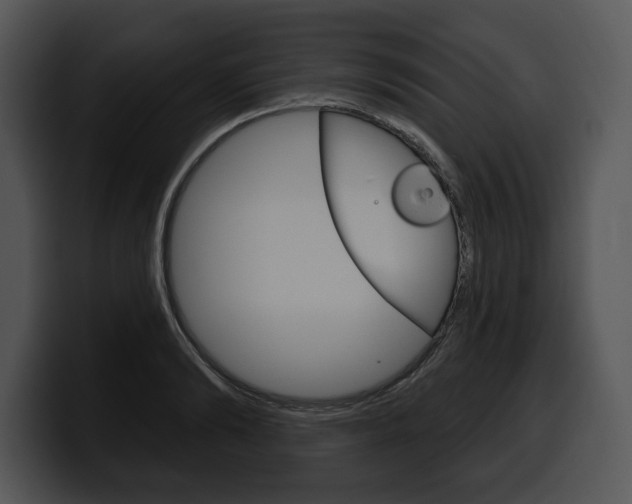 X0000100500894200806130727