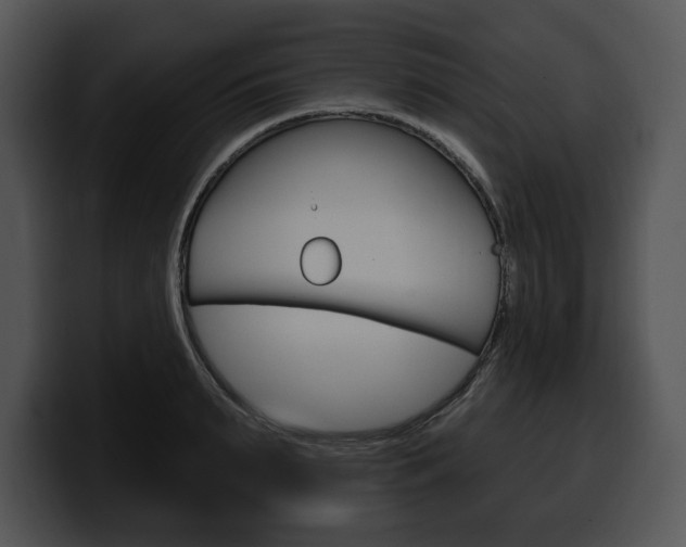 X0000100500895200806130727