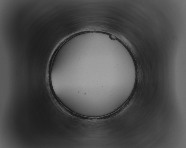 X0000100500896200806130727