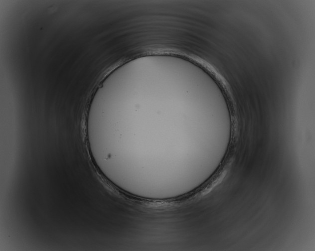 X0000100500897200806130727