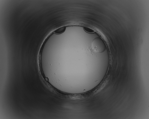 X0000100500899200806130727