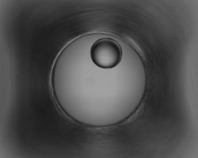 X0000100500900200806130727