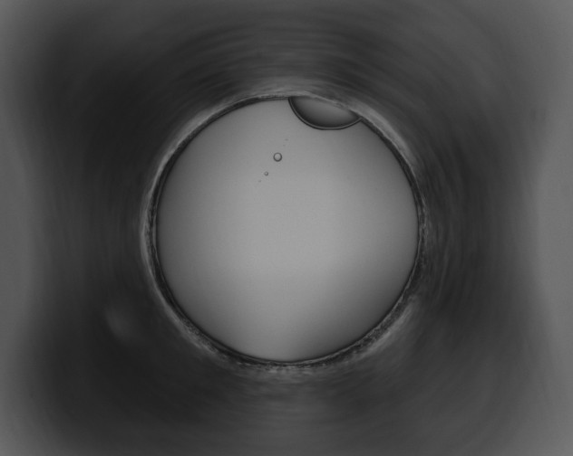 X0000100500901200806130727