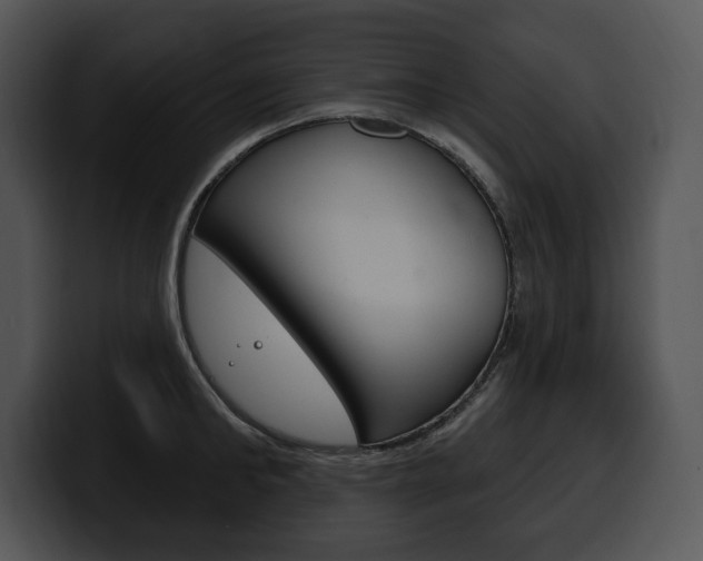 X0000100500902200806130727