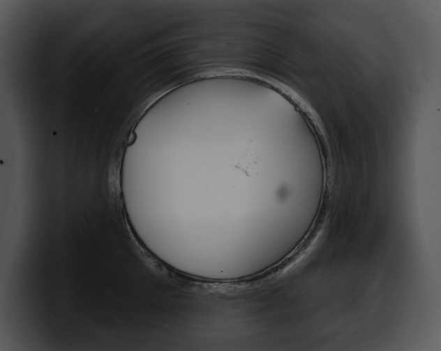 X0000100500905200806130727