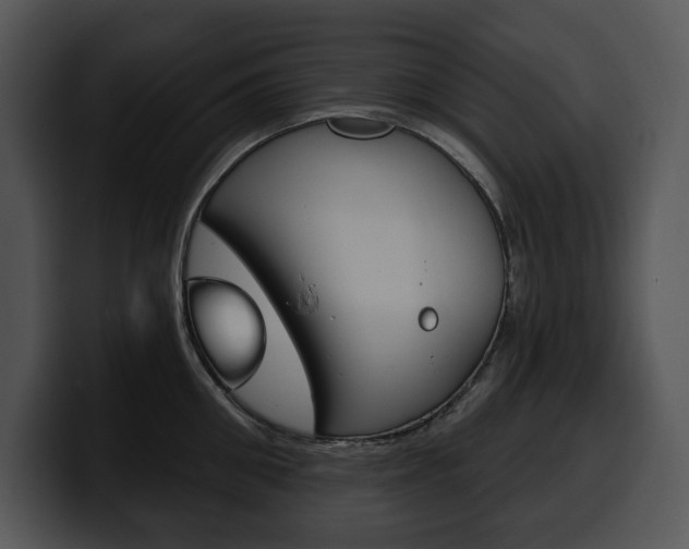 X0000100500906200806130727