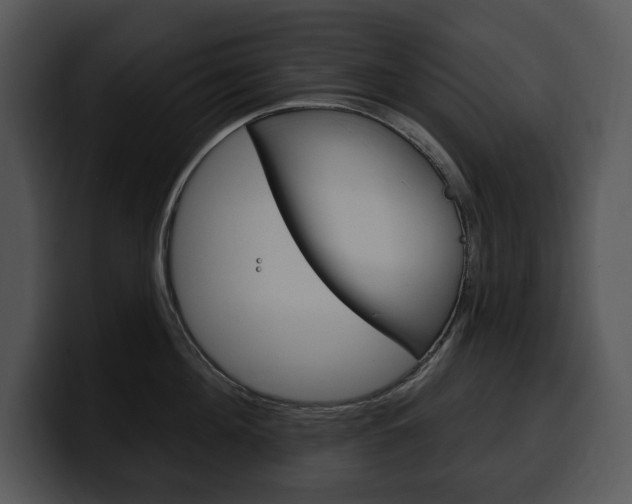 X0000100500908200806130727