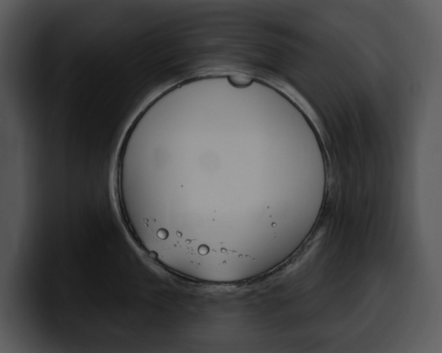 X0000100500909200806130727