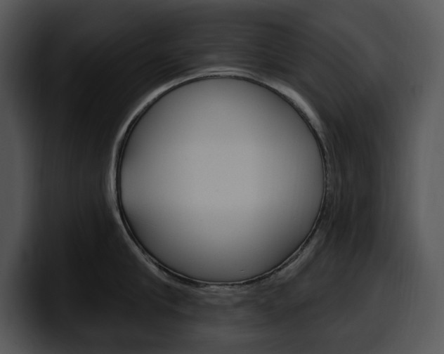 X0000100500910200806130727