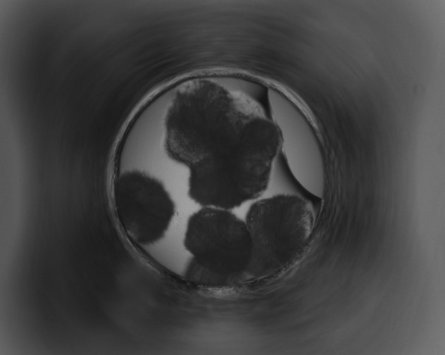 X0000100500911200806130727