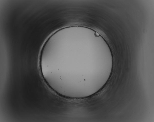 X0000100500912200806130727