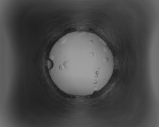 X0000100500913200806130726