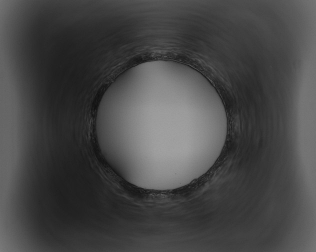 X0000100500914200806130726