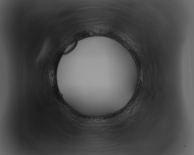 X0000100500915200806130726