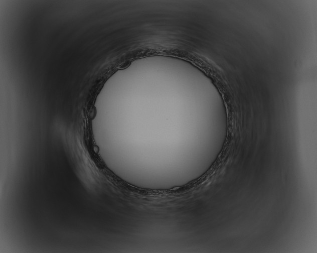 X0000100500917200806130726