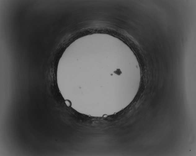 X0000100500918200806130726