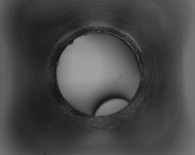 X0000100500919200806130726