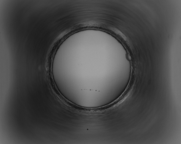 X0000100500922200806130726
