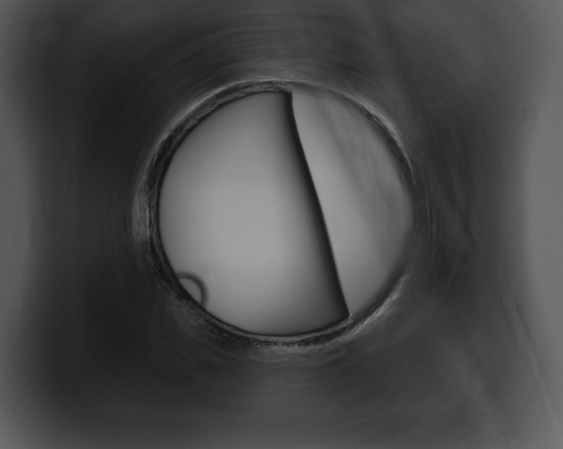 X0000100500925200806130726
