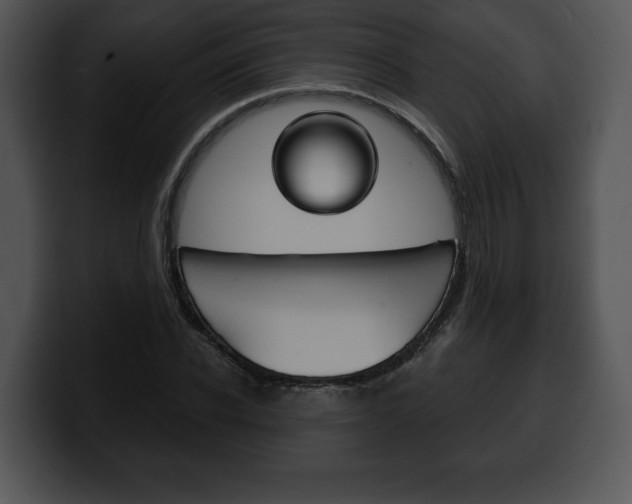 X0000100500926200806130726
