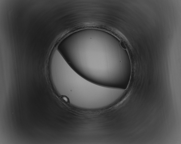 X0000100500930200806130727