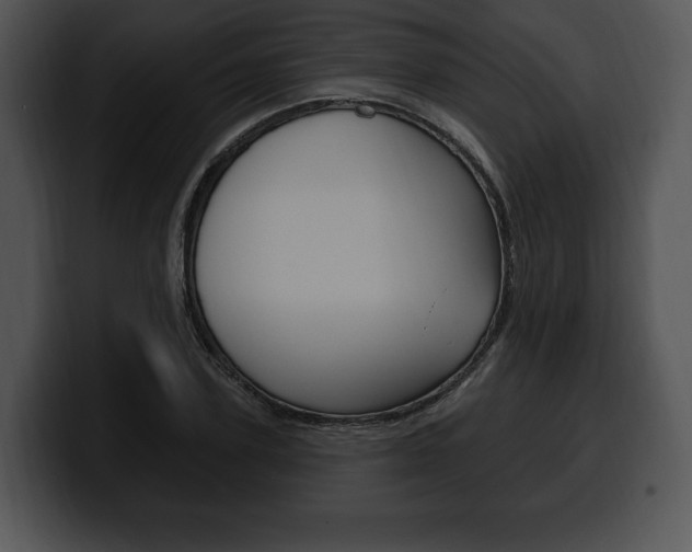 X0000100500931200806130727