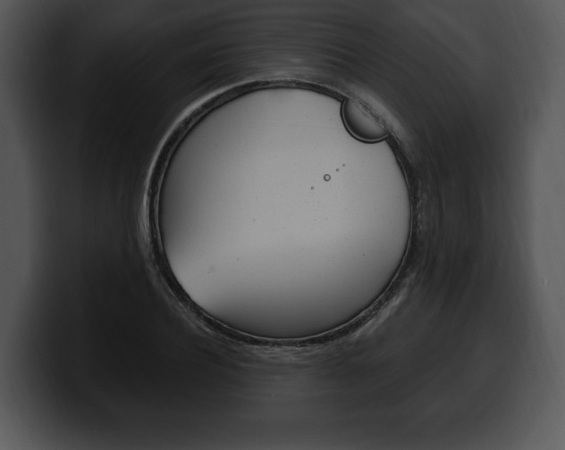 X0000100500932200806130727