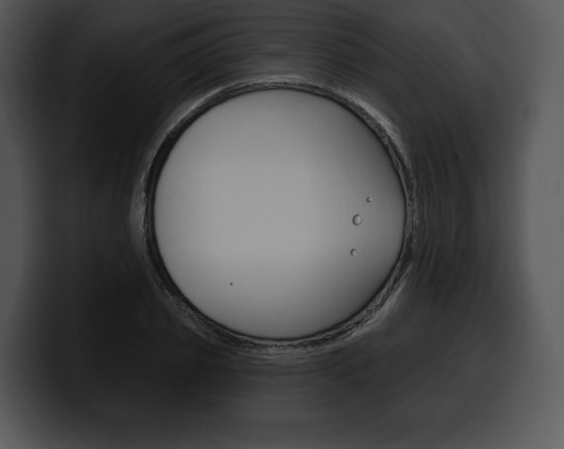 X0000100500933200806130727