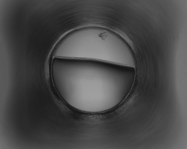 X0000100500934200806130727