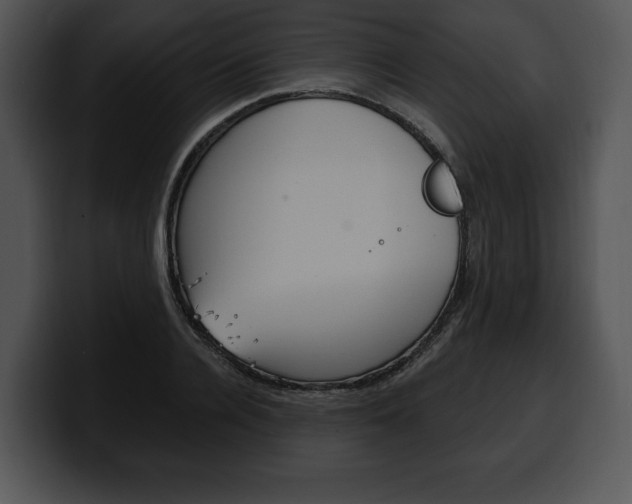 X0000100500936200806130727