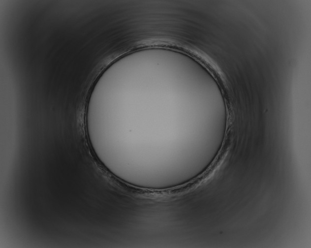 X0000100500937200806130727