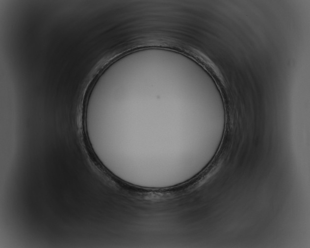 X0000100500938200806130727