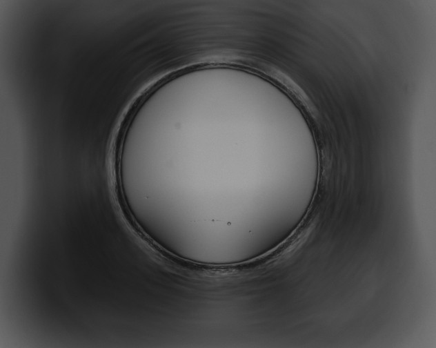X0000100500939200806130727