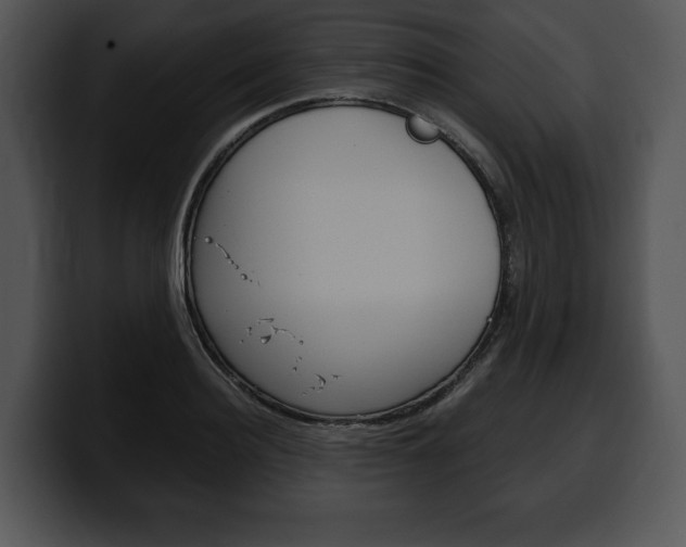 X0000100500940200806130727