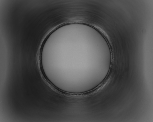 X0000100500941200806130727