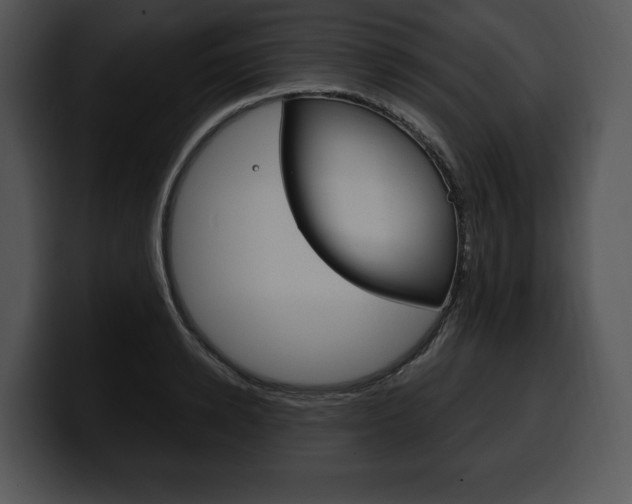 X0000100500942200806130727