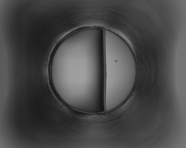 X0000100500943200806130727
