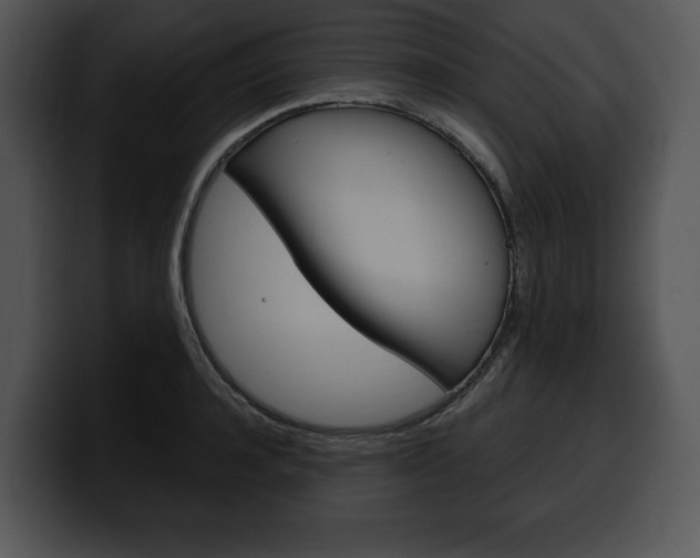 X0000100500944200806130727