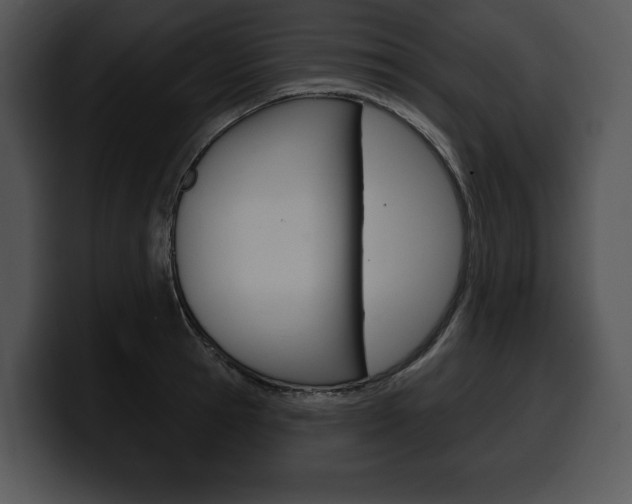 X0000100500945200806130727
