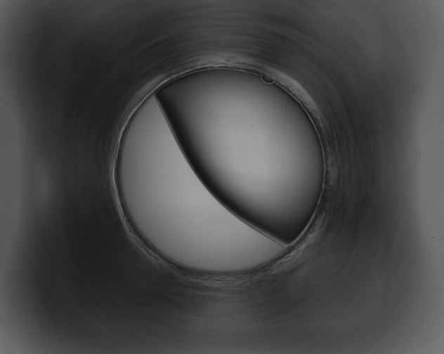 X0000100500946200806130727