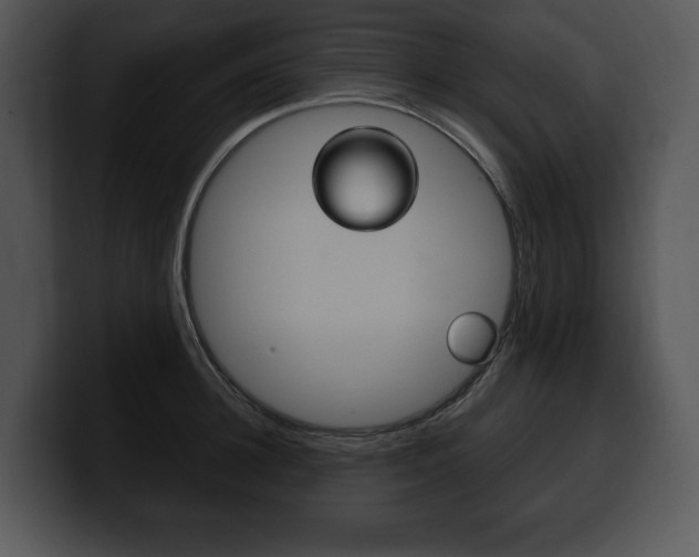 X0000100500948200806130727