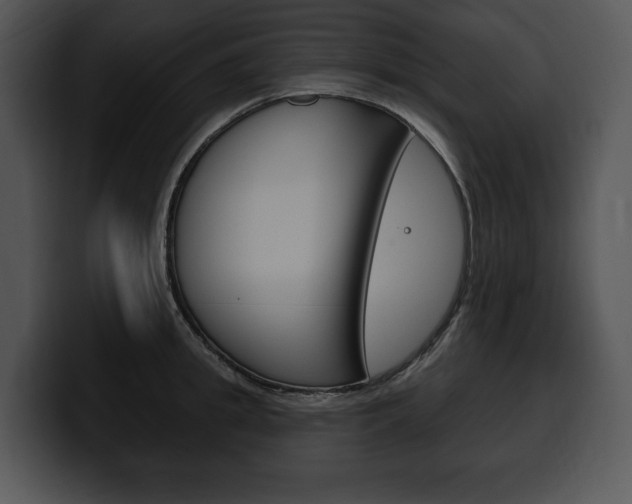 X0000100500949200806130727