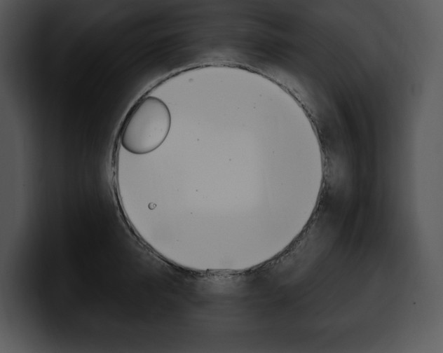 X0000100500950200806130727