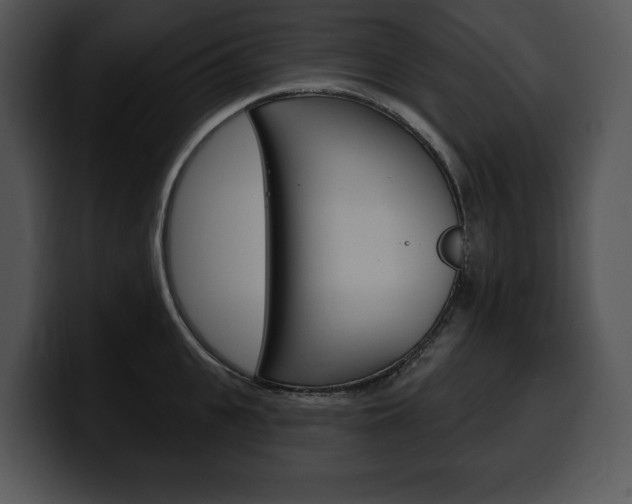 X0000100500951200806130727