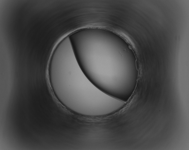X0000100500952200806130727