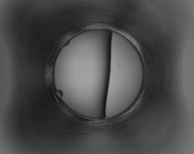 X0000100500953200806130727