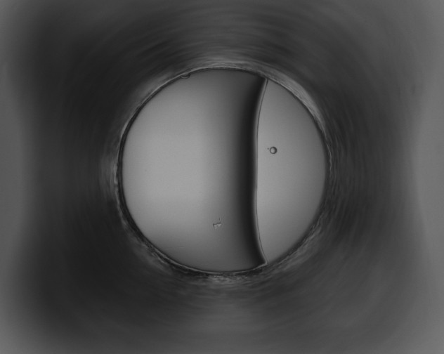 X0000100500954200806130727