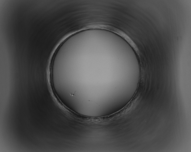 X0000100500955200806130727