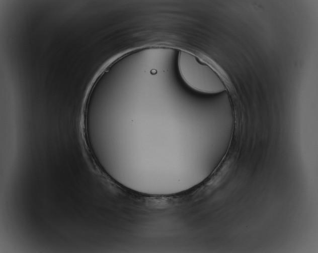 X0000100500956200806130727